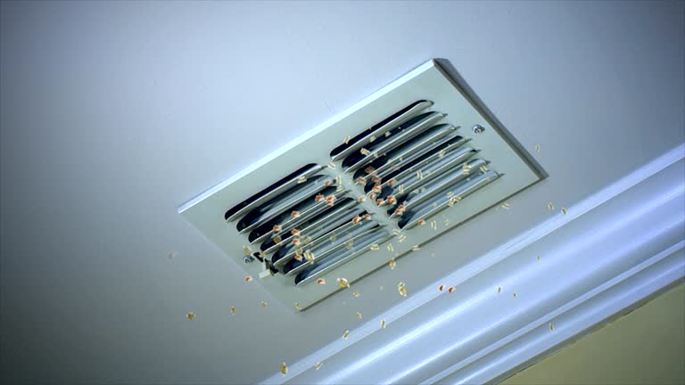 Ventilation Cleaning Services in FL