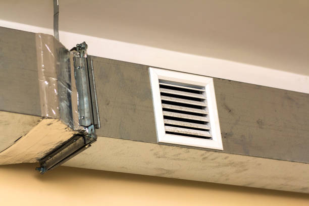 Best Affordable Duct Cleaning Services  in Lake Kerr, FL